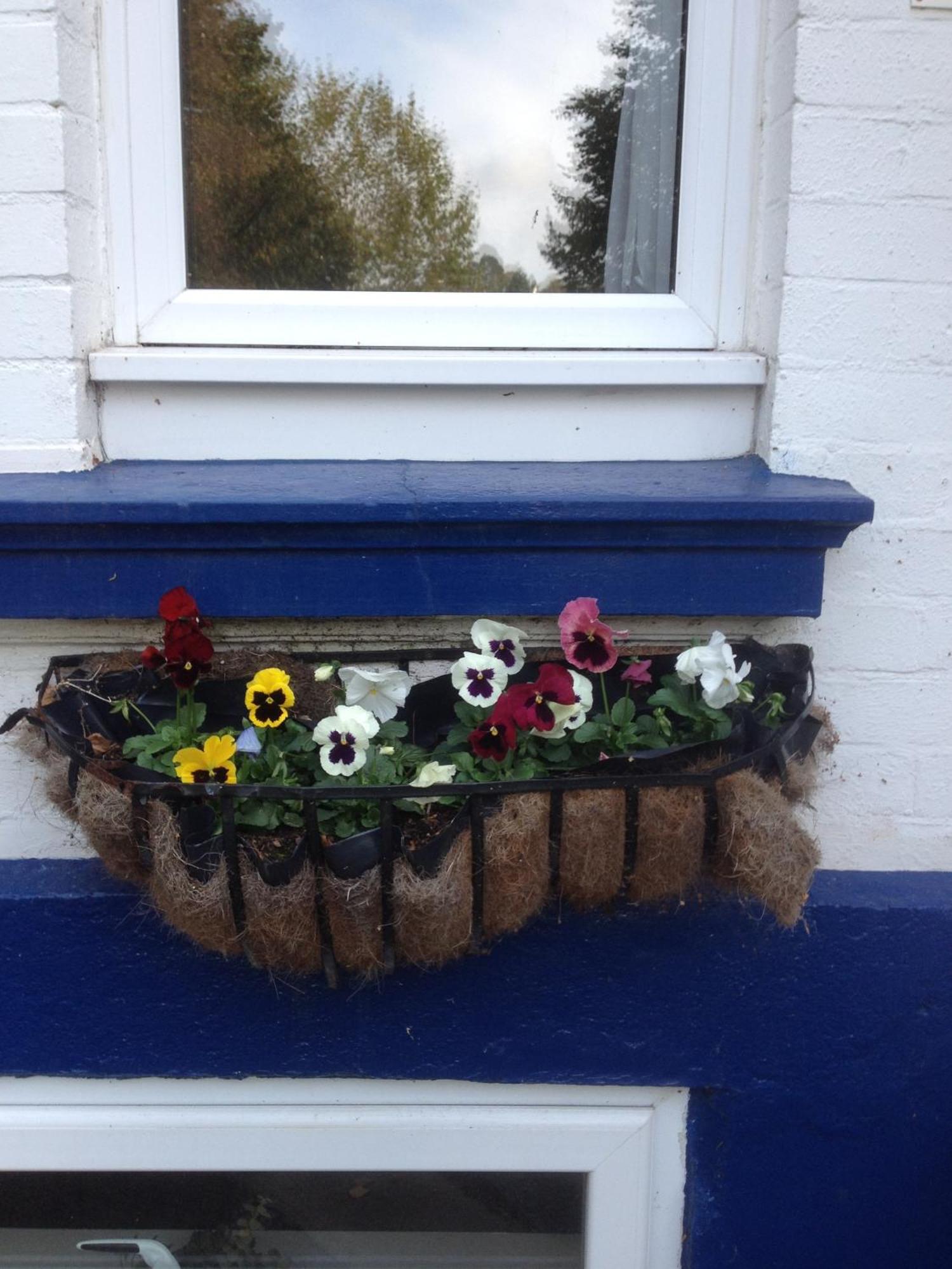 The Brandize Guest House Torquay Exterior foto